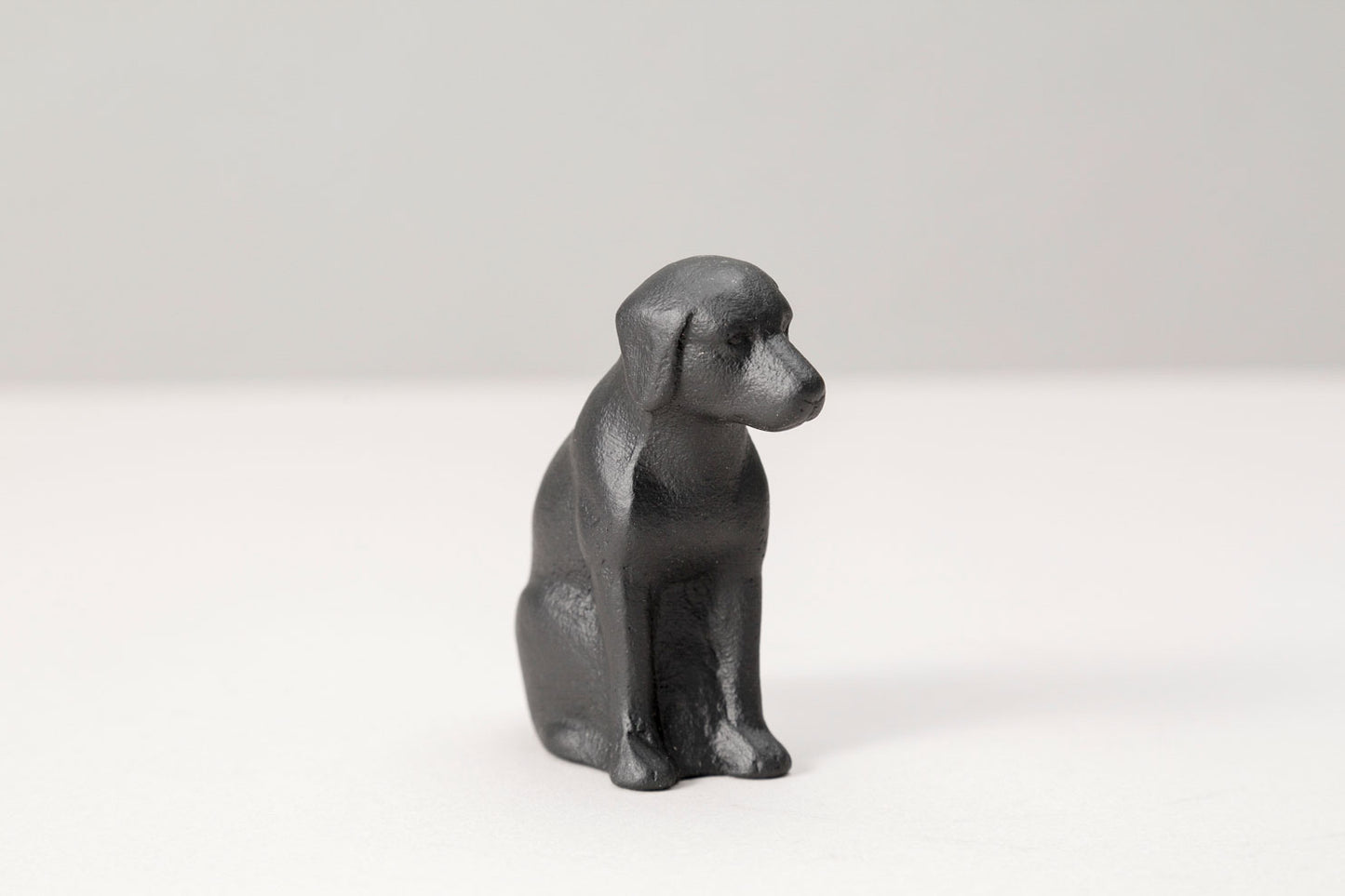 paperweight parent dog