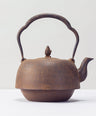 Iron kettle type 23 southern skin
