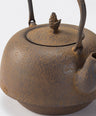 Iron kettle type 23 southern skin