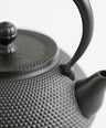 Iron kettle 9 type Hiramaru Arale (inner pot firing)